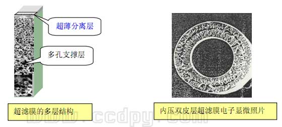 超滤膜电镜结构图