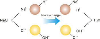 Ion exchang